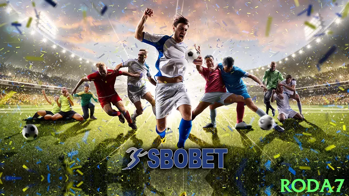 roda7 no Brasil: Análise Completa e Recomendações - pro