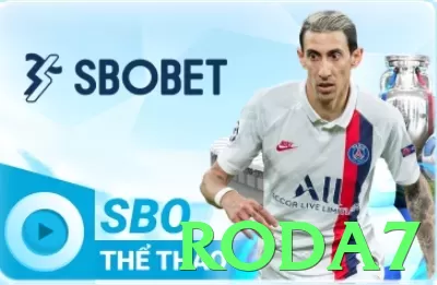 Tudo Sobre roda7: Guia Atualizado Para 2024 - pak